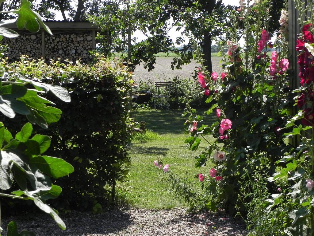 Appels En Peren Bed And Breakfast Breezand Стая снимка