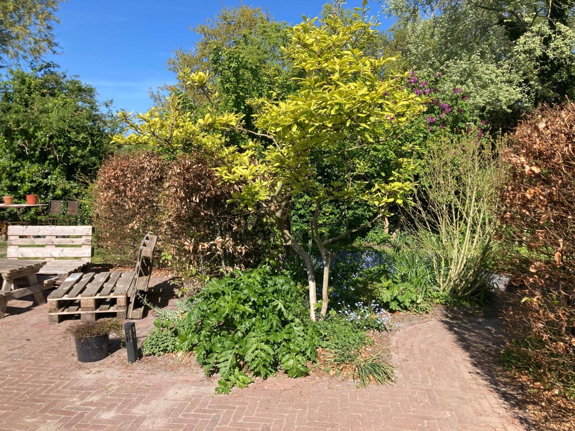 Appels En Peren Bed And Breakfast Breezand Екстериор снимка
